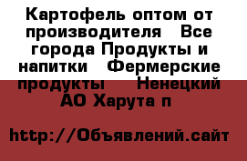 Картофель оптом от производителя - Все города Продукты и напитки » Фермерские продукты   . Ненецкий АО,Харута п.